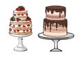 Hand drawing illustration vector set of color cakes. Chocolate and strawberry sketch sweet cakes for wedding invitations. Two-tier