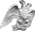 A hand drawing of an imperial two-headed eagle Royalty Free Stock Photo