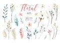 Hand drawing isolated watercolor floral illustration with leave Royalty Free Stock Photo