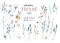 Hand drawing isolated watercolor floral illustration with leave Royalty Free Stock Photo