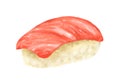 Hand drawing Japanese food Chutoro tuna sushi sashimi nigiri Royalty Free Stock Photo