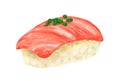 Hand drawing Japanese food Otoro maguro tuna sushi nigiri Royalty Free Stock Photo