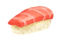 Hand drawing Japanese food toro tuna sushi sashimi nigiri Royalty Free Stock Photo