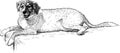 Hand drawing of a lying dog Royalty Free Stock Photo