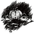 Hand drawing monster of halloween pumpkin. black grafic on white background