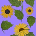 Hand drawing painted sunflowers and leaves seamless pattern on blue background. Utensil, cutlery, kitchen, packaging, tableware, c Royalty Free Stock Photo