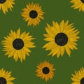 Hand drawing painted sunflowers seamless pattern on green background. Utensil, cutlery, kitchen, packaging, tableware, cloth, wall Royalty Free Stock Photo
