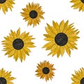 Hand drawing painted sunflowers seamless pattern on white background. Utensil, cutlery, kitchen, packaging, tableware, cloth, wall Royalty Free Stock Photo