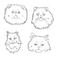 Hand drawing Persian cat vector version persian cat vector Royalty Free Stock Photo