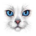 Hand-drawing portrait of white cat Royalty Free Stock Photo