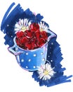 Hand drawing postcard berry cherry in a vase chamomile flowers cup polka dots blue color illustration