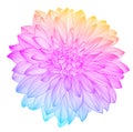 Hand drawing rainbow flower, vector