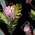 seamless watercolor protea pattern with gold frame and tropical leaves Royalty Free Stock Photo