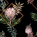 Hand drawing seamless watercolor floral patterns with protea rose Royalty Free Stock Photo