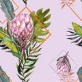 Hand drawing seamless watercolor floral patterns with protea rose Royalty Free Stock Photo