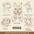 Set of hand drawing dogs part 5 vector illustration Royalty Free Stock Photo