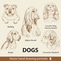 Set of hand drawing dogs part 8 vector illustration Royalty Free Stock Photo