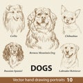 Set of hand drawing dogs part 10 vector illustration Royalty Free Stock Photo