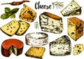 Hand drawing set with different cheeses.