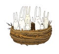 Hand drawing sketch. Cute cartoon bunnies in the nest. Easter bunny. Children s tale - Vector