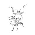 Hand drawing, sketch, mantis on a white background