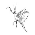 Hand drawing, sketch, mantis on a white background