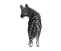 Hand drawing spotted hyena on white background illustration Animal silhouette sketch