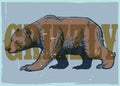 Hand drawing style of vintage grizzly bear poster