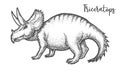 Hand drawing Triceratops dinosaur vector sign tatoo Royalty Free Stock Photo