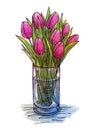 Hand drawing tulips in a glass vase