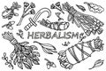 Hand drawing vector illustration. Ink sketch. Medicinal herbs, dry herbs for aromatherapy, sickle for collecting herbs.