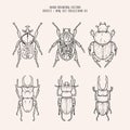 Hand Drawing Vector Insects and Bugs Collection 01 Royalty Free Stock Photo