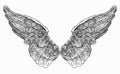 Hand drawing of vintage decorative fantasy wings Royalty Free Stock Photo