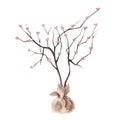 Hand drawing watercolor Tree with valentine`s heart isolated on white background Royalty Free Stock Photo