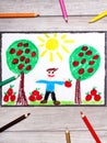 hand drawing: young, smiling man is holding apples Royalty Free Stock Photo