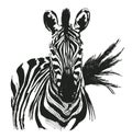 Hand drawing zebra