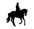 Running horse with rider silhouette ~ Royalty Free Stock Photo
