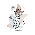 Hand drawn abstract background isolated on white. Vector ananas