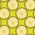 Hand drawn abstract cut circles of citrus fruits on english green background Royalty Free Stock Photo