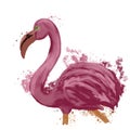 Abstract flamingo design