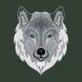 Hand drawn abstract portrait of a wolf. Vector stylized colorful illustration for tattoo, logo, wall decor, T-shirt print design Royalty Free Stock Photo