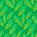 Hand drawn abstract seamless pattern with green palm branch. Exotic tropical leaves isolated on a green background. Cute template