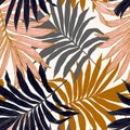 Hand drawn abstract tropical summer background : palm tree leaves in silhouette, line art Royalty Free Stock Photo