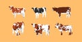 Hand drawn abstract vector clipart illustration collection set with brown adorable cute,stylized cow characters.Trendy Royalty Free Stock Photo