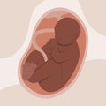 Hand drawn adorable fetus illustration Vector illustration. Royalty Free Stock Photo