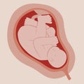 Hand drawn adorable fetus illustration Vector illustration. Royalty Free Stock Photo
