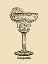 Hand drawn alcoholic cocktail vector illustration Royalty Free Stock Photo