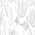 Hand drawn aloe vera plant. Vector seamless pattern Royalty Free Stock Photo