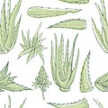 Hand drawn aloe vera plant. Vector seamless pattern Royalty Free Stock Photo