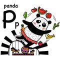 Hand drawn.Alphabet Letter P-panda